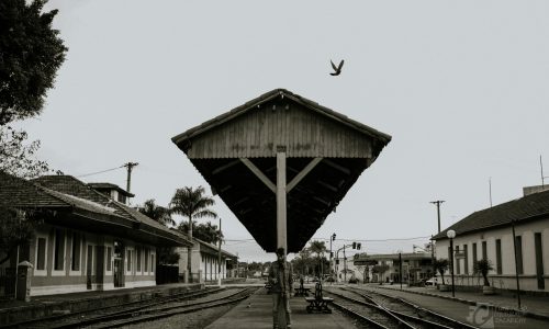 10-Solitude-Charry-Elly-Jin