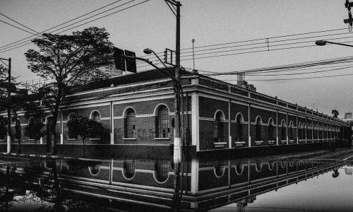 21-Vejo-o-Reflexo-do-que-Sou-Nadine-Alves-AbrahC3A3o-dos-Santos