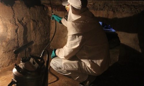 Foto9C_Descupinizacao_Museu-550x393-1