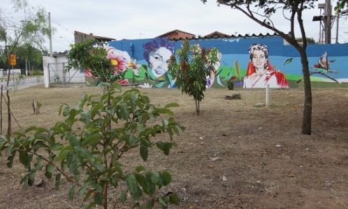 Fotoc_Pr_Maria_Callas_-550x393-1