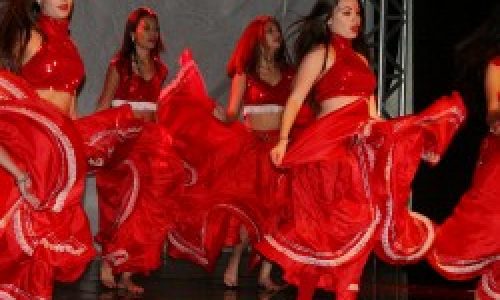 InvCultural_Denca-VivaVida-11-250x250-1