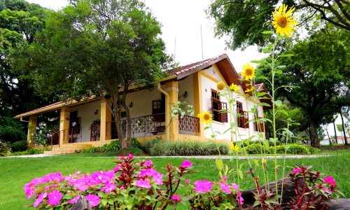 casa do parque