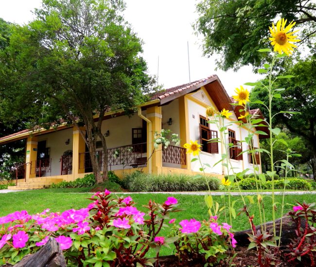 casa do parque