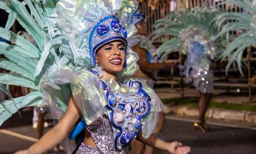 desfile-de-carnaval-2026_55118452607_l