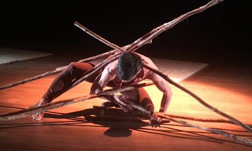 foto-2-TRIPTICO-por-Solange-Borelli