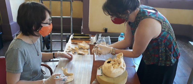 semana de arqueologia